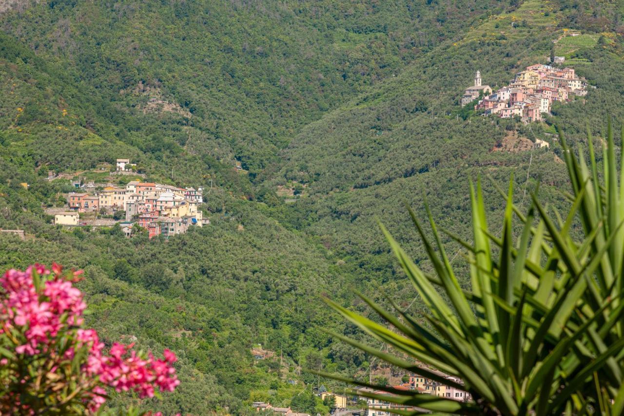 Villa Dell'Erta - Levanto Montale  Kültér fotó