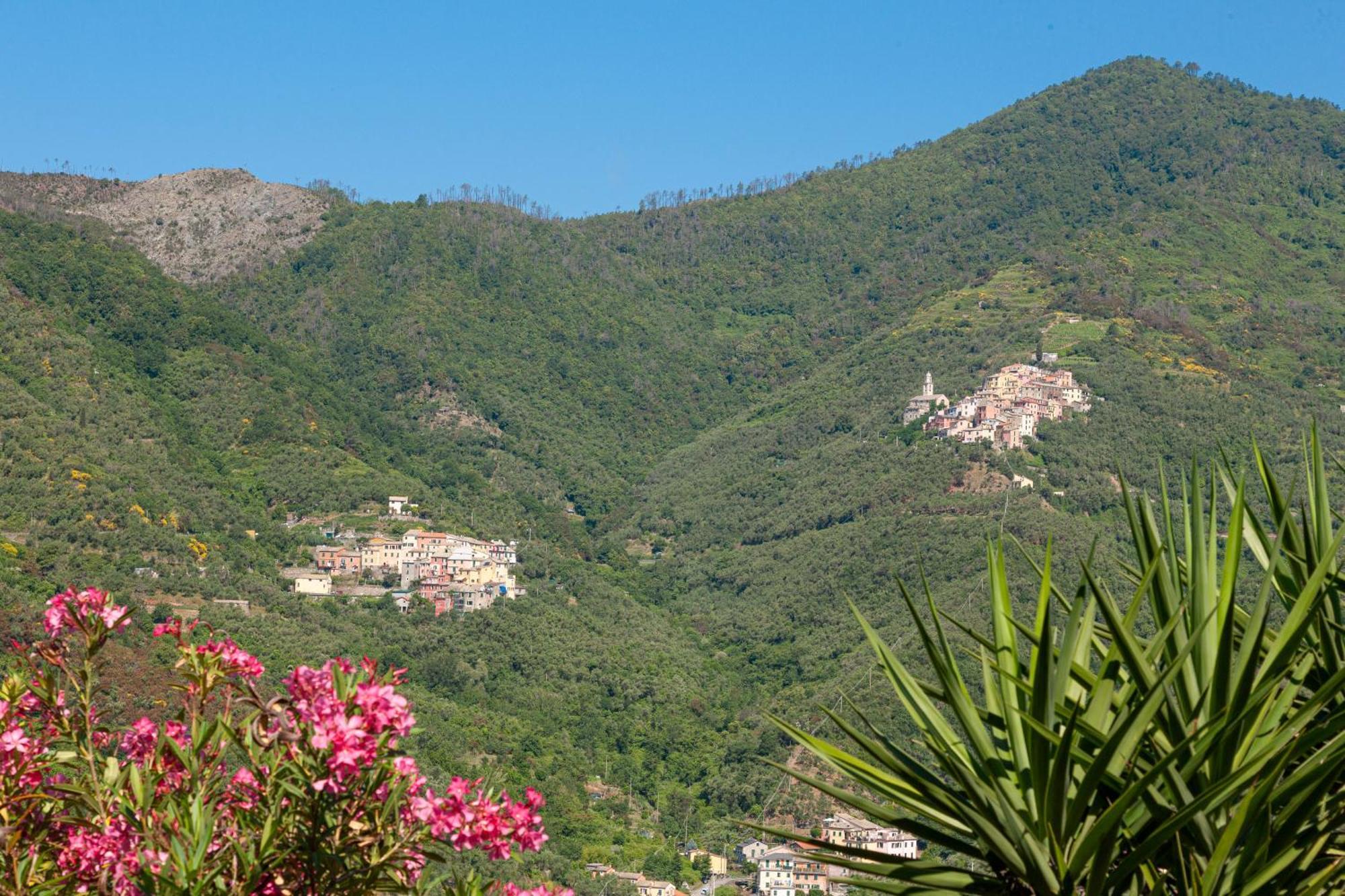 Villa Dell'Erta - Levanto Montale  Kültér fotó